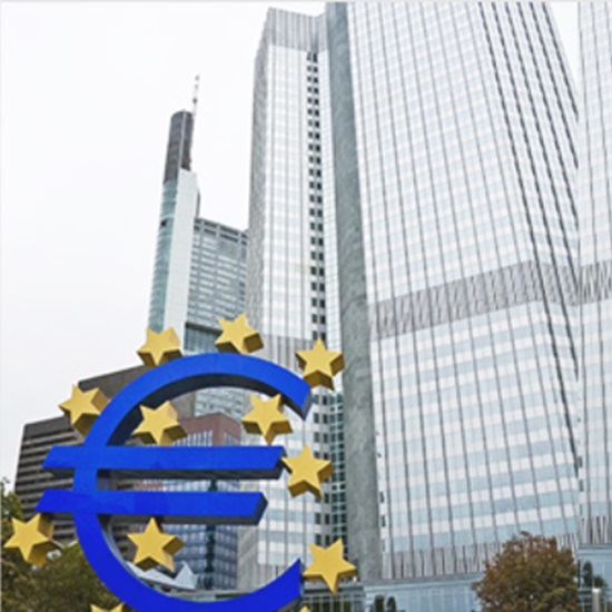 ECB̃|CgFzʂ0.25{AアhCcoς[̏d(24/10/15)